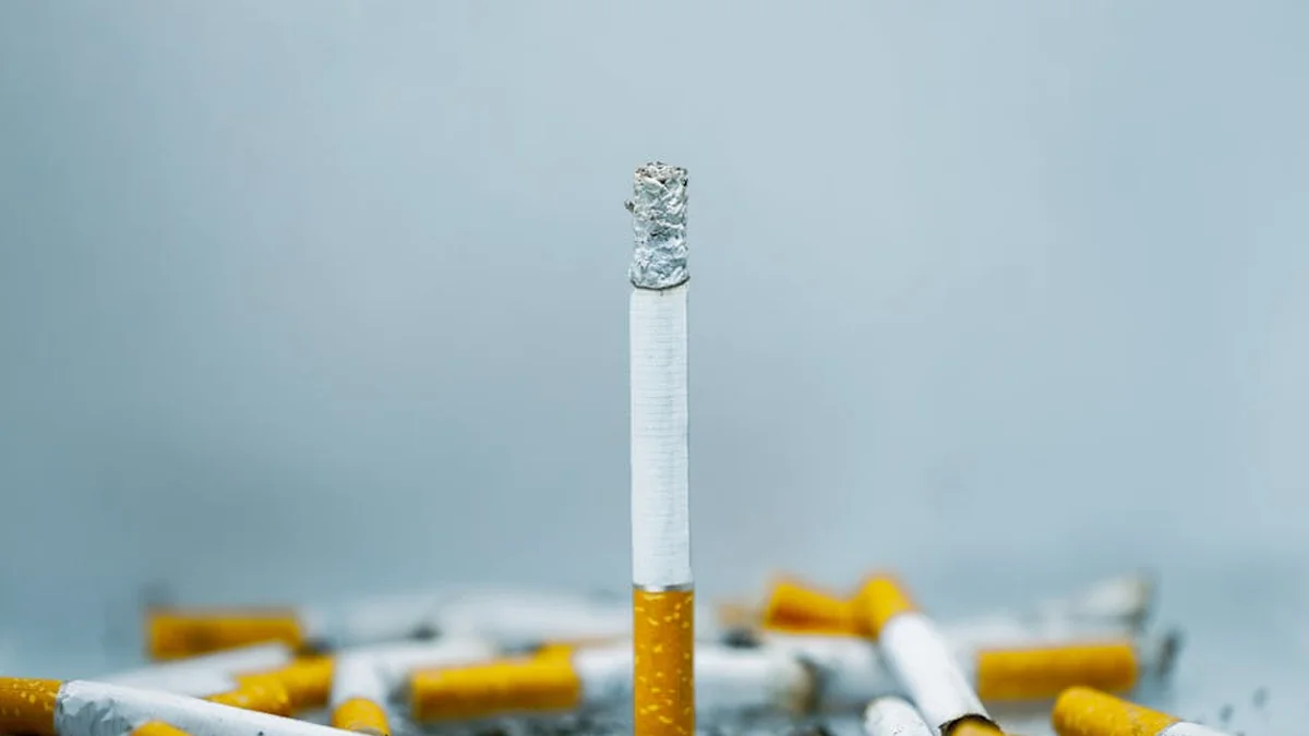 Wildfire in Austria: Discarded cigarette believed to have caused fire in Carinthia