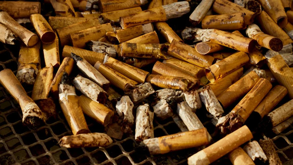 Wildfire in Austria: Discarded cigarette believed to have caused fire in Carinthia